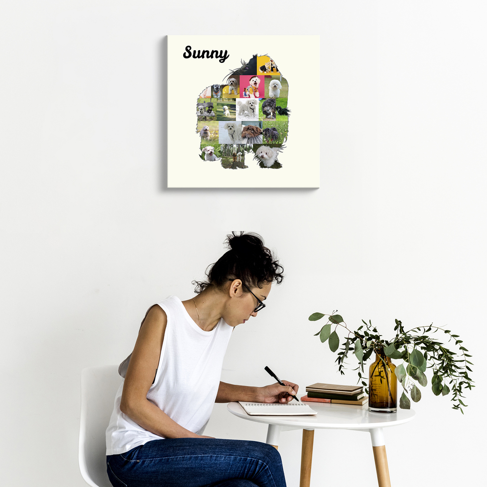 Bolonka-Zwetna-Fotocollage auf Leinwand mit Namen und cremefarbenem Hintergrund an der Wand über einem weißen Tisch