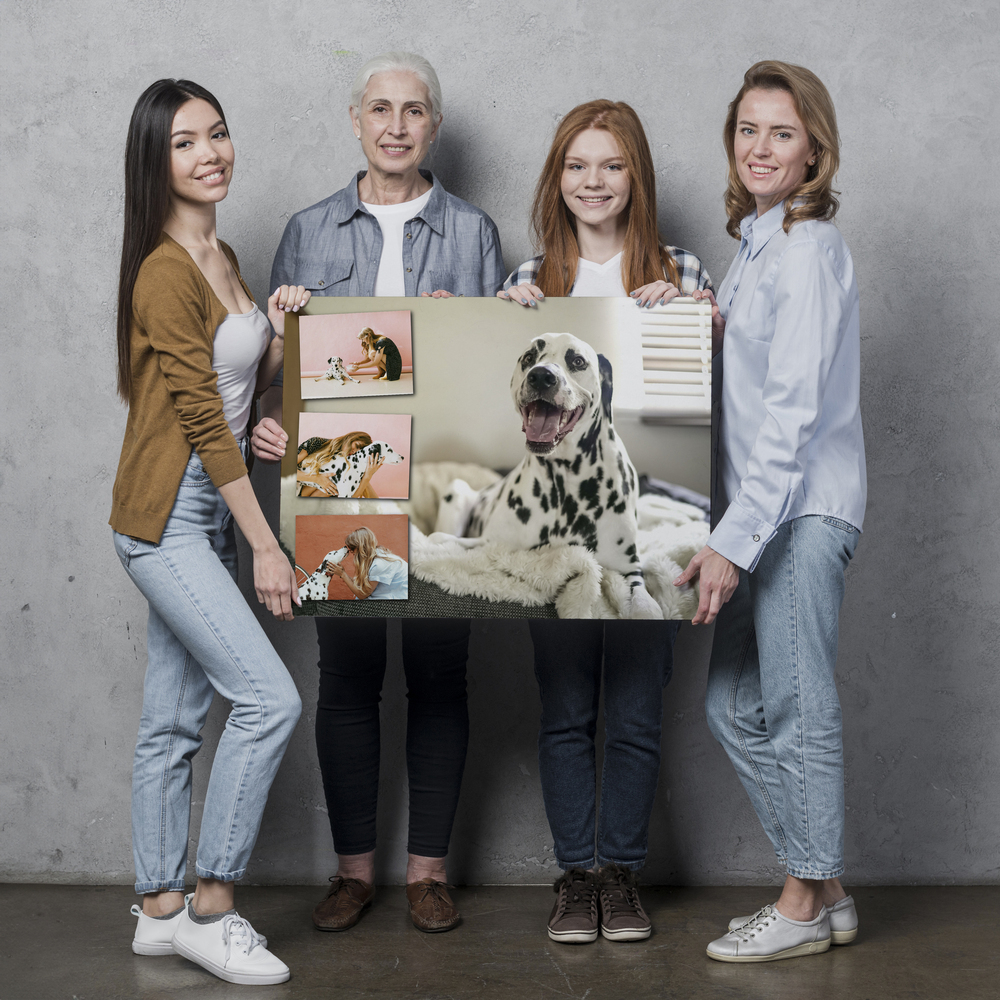 Fotocollage op aluminium tegen een grijze wand, met een groot dalmatiërportret en drie kleine foto's links