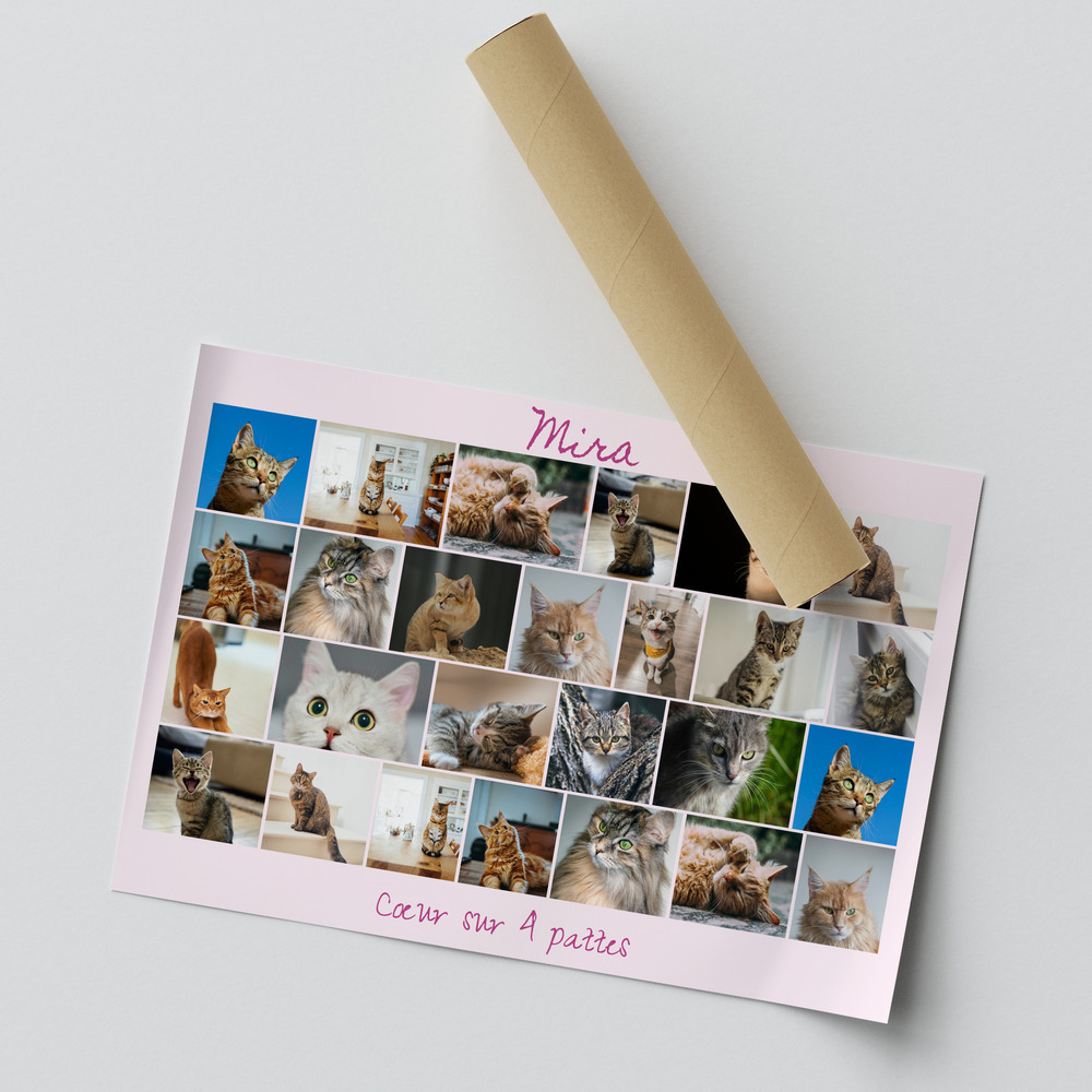 Poster pêle-mêle de chats sur fond rose, personnalisé avec prénom et texte, présenté sur une surface grise
