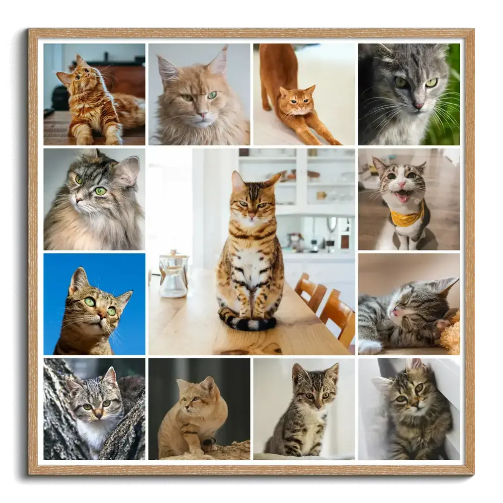 Pêle-mêle de chats encadré en bois naturel, avec une grande photo centrale, cadeau pour les amoureux des chats