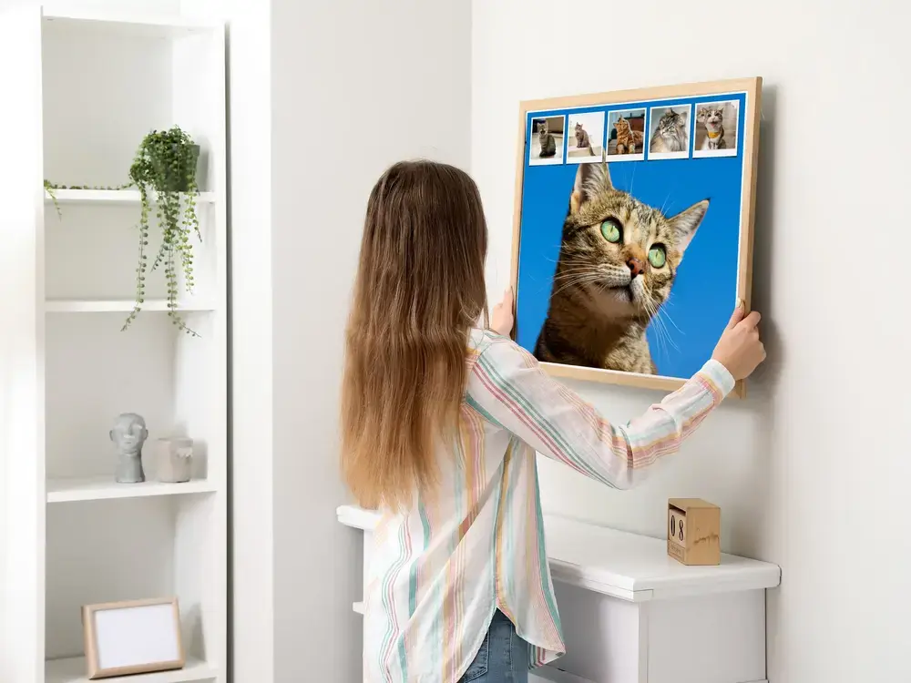 Pêle-mêle de chats sur fond bleu avec une rangée de petites photos, encadré en bois au-dessus d'un meuble blanc