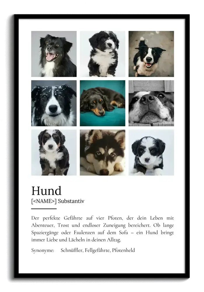Definitionsposter mit neun Hundeporträts im schwarzen Rahmen, personalisierbares Geschenk für Hundebesitzer