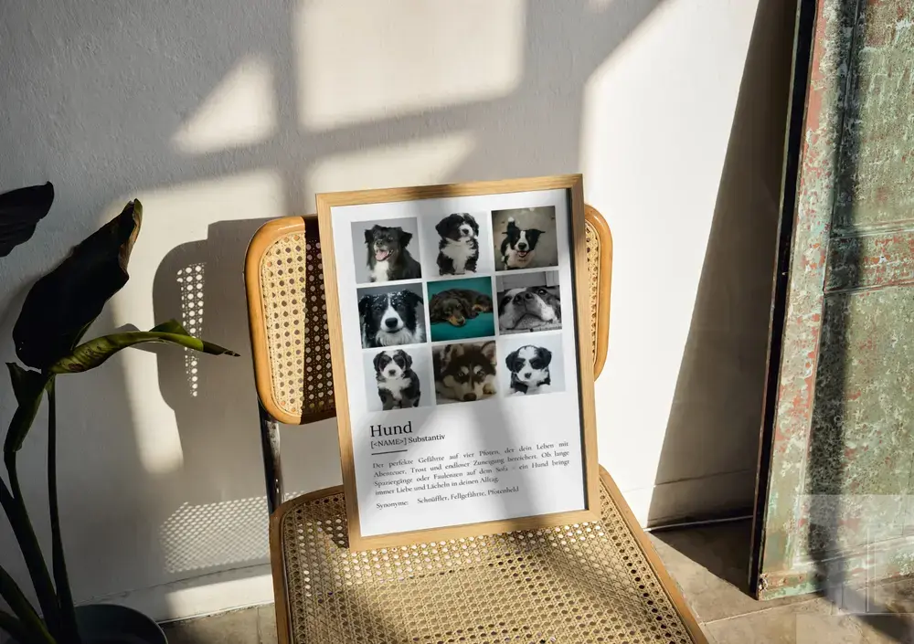 Definitionsposter mit neun Hundefotos im Naturholzrahmen auf einem Geflechtstuhl im sonnigen Wohnzimmer
