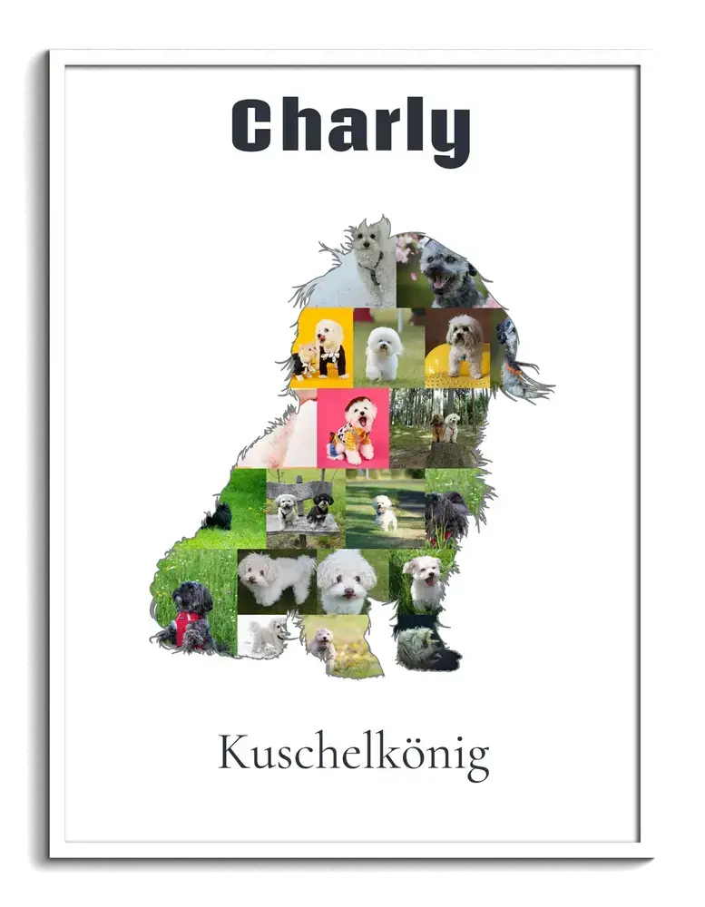 Fotocollage als sitzende Bolonka-Zwetna-Silhouette mit Namen und Spruch im weißen Rahmen für Hundefreunde