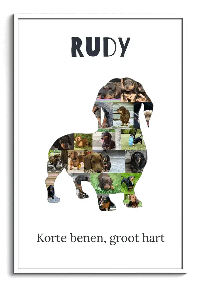 Fotocollage in de vorm van een staande teckel met naam en tekst op een witte achtergrond, in een witte lijst
