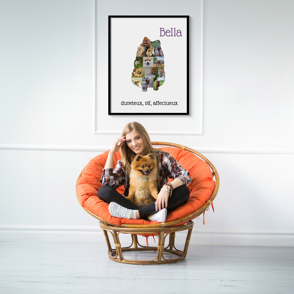 Collage photo de spitz nain avec nom et texte, encadré en noir au-dessus d’un fauteuil orange