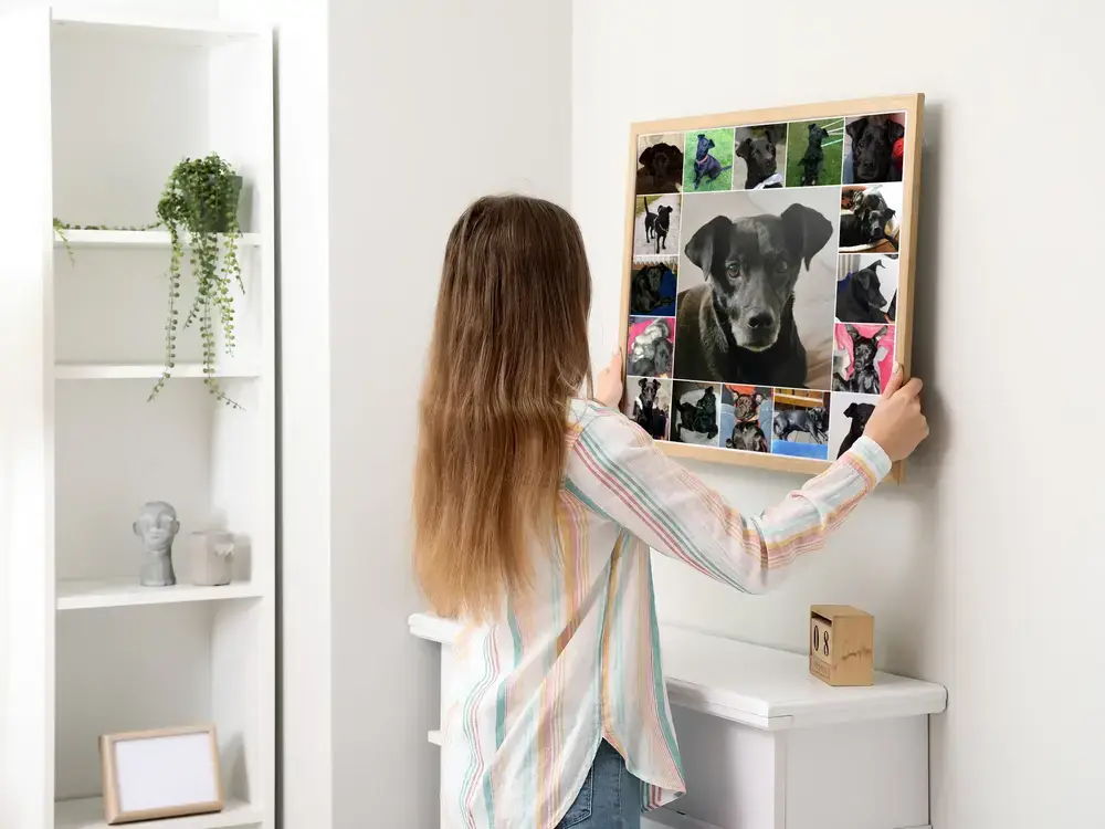 Fotocollage eines schwarzen Hundes im Holzrahmen an einer hellen Wand über einer Kommode, Geschenk für Hundefreunde