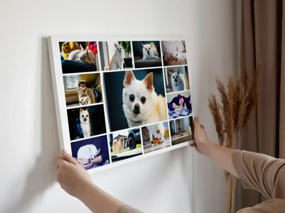 Chihuahua-Fotocollage im weißen Rahmen mit großem Porträt in der Mitte, an heller Wand neben Trockenblumen