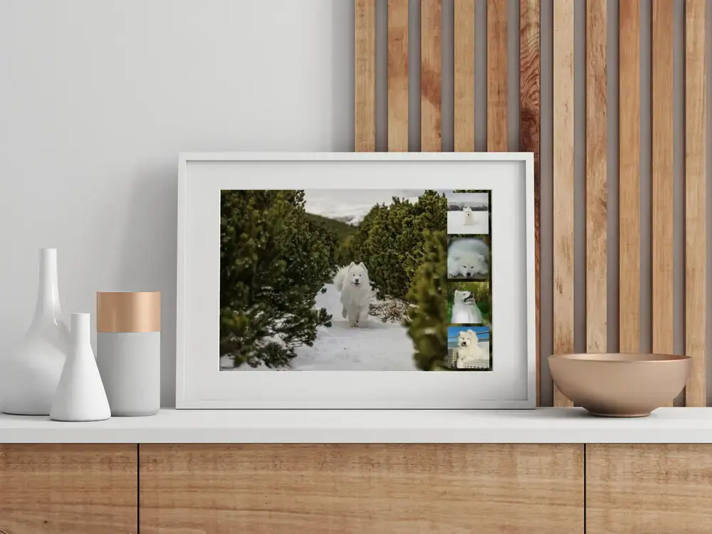 Fotocollage van een samojeed in de sneeuw met vier kleine foto’s langs de rand, in witte lijst op een houten kast
