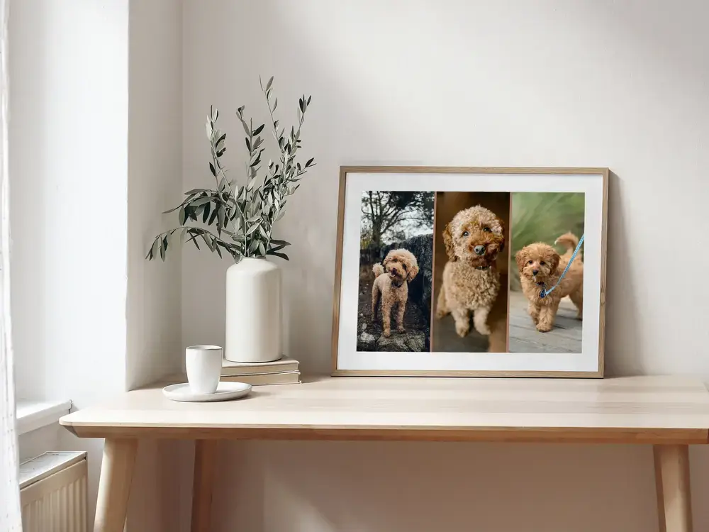 Gerahmte Hundefoto-Collage mit drei Pudelaufnahmen auf einem hellen Schreibtisch neben Vase und Tasse