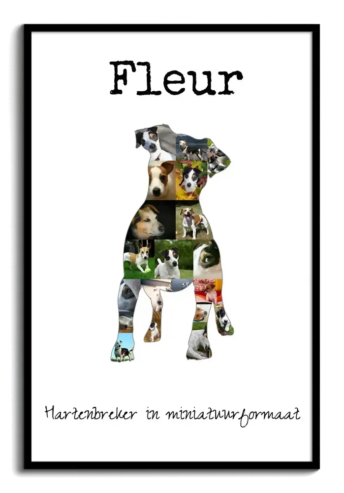 Fotocollage in de vorm van een Jack Russell met naam en tekst op wit, in een zwarte lijst