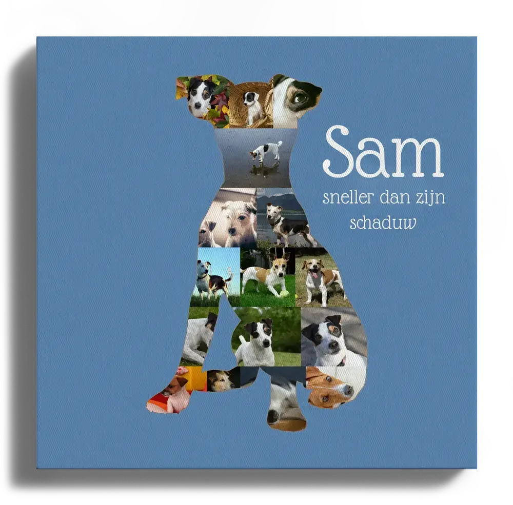 Fotocollage op canvas in de vorm van een Jack Russell, met blauwe achtergrond en persoonlijke naam en tekst