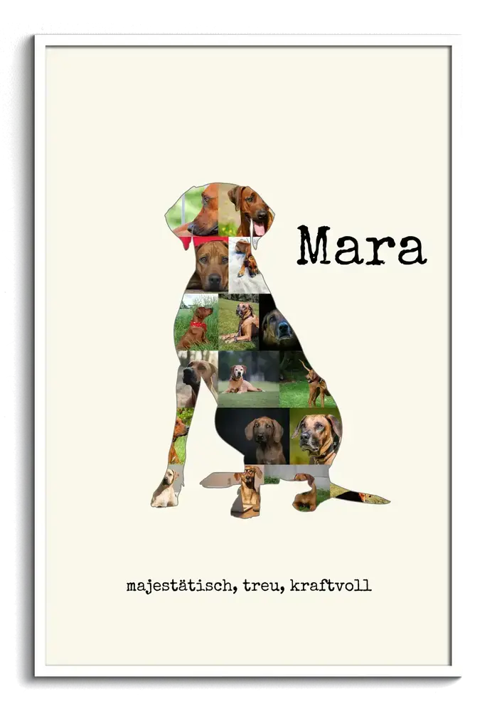 Rhodesian-Ridgeback-Fotocollage als sitzende Silhouette mit Namen und Spruch auf Creme, weiß gerahmt