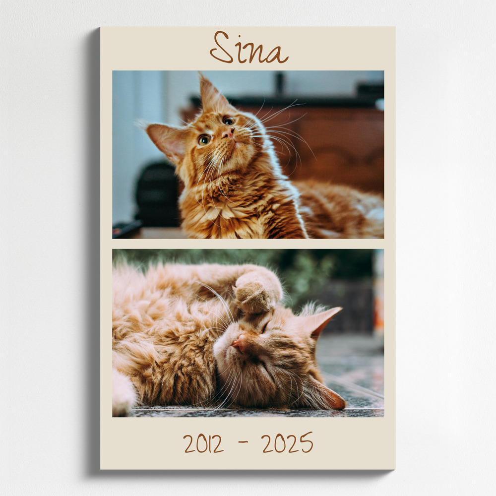 Trauercollage einer Katze auf Leinwand im Hochformat, mit Namen und Lebensjahren auf beigem Grund