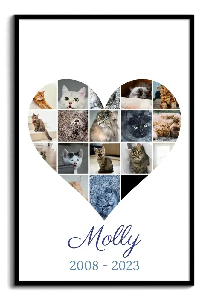 Trauer-Fotocollage für eine Katze in Herzform, mit Namen und Lebensjahren im schwarzen Rahmen