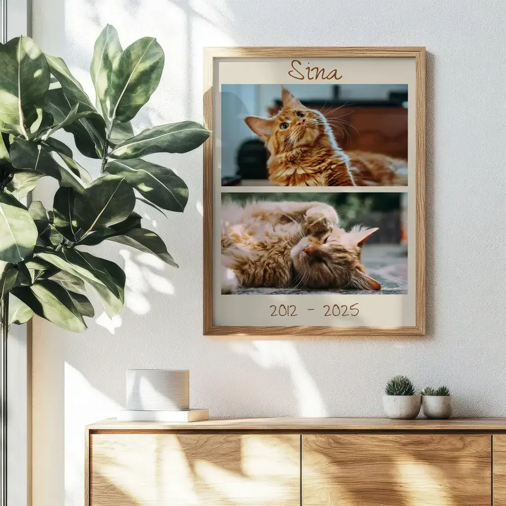 Erinnerungscollage einer Katze mit Namen und Lebensjahren im Naturholzrahmen über einer Kommode neben einer Pflanze