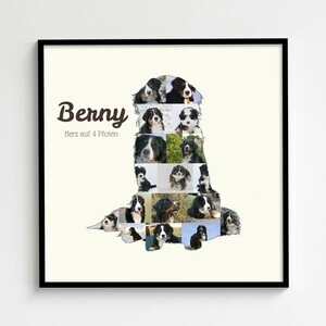 Hunde-Fotocollage "Berner Sennenhund" erstellen. Eigene Fotos, Namen und Texte.