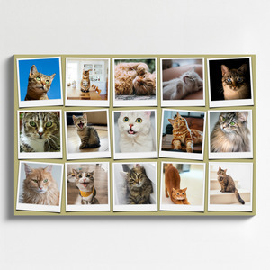 Polaroid collage van je kattenfoto's – maak nu met naam en eigen tekst