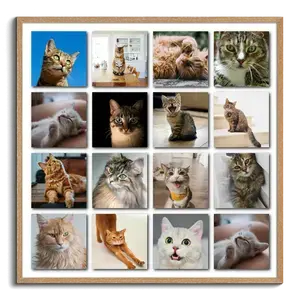 Polaroid collage van je kattenfoto's – maak nu met naam en eigen tekst