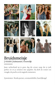Maak je eigen Bruidsmeisje Definitiesposter als persoonlijk cadeau!