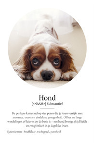 Personaliseerbaar Hondenposter: Jouw Perfecte Viervoeter Designen!