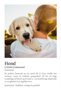Personaliseerbaar Hondenposter: Jouw Perfecte Viervoeter Designen!