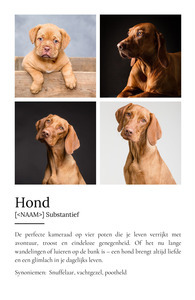 Personaliseerbaar Hondenposter: Jouw Perfecte Viervoeter Designen!