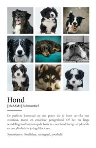 Personaliseerbaar Hondenposter: Jouw Perfecte Viervoeter Designen!