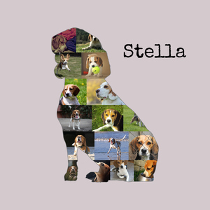 Creëer Je Eigen Beagle Collage - Persoonlijk Foto Geschenk!