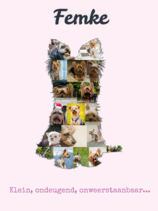 Ontwerp je eigen Yorkshire Terrier fotocollage - Creatief & Persoonlijk