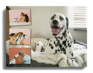 Collage photo personnalisée chien Alu-Dibond XXL - Souvenir élégant