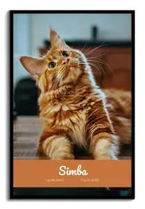 Créez un collage hommage chat: photo unique, nom et dates