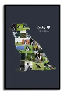 Hunde-Silhouette Fotocollage – gestalte dein Gedenkbild mit Namen & Lebensjahren