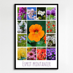 Créez votre collage photo fleurs de printemps – tirage premium