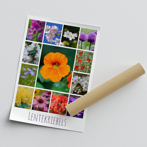 Ontwerp je bloemen-fotocollage – premium print: lente, rozen, zonnebloemen, tulpen