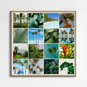 Collage photo Nature tropicale - créez votre impression premium: palmiers, plage, jungle
