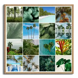 Natuurfotografie Collage – Ontwerp & bestel jouw tropische planten & palmen, premium print