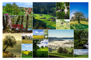 Landschafts-Fotocollage online gestalten – Premiumdruck | Wälder, Berge, Winter