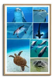 Onderwater fotocollage maken – duikfoto's: maak en bestel premium afdruk met sjablonen