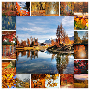 Jahreszeiten-Fotocollage jetzt erstellen – Natur, Landschaft & Tiere im Premiumdruck