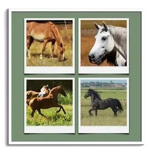 Erstelle deine eigene Tierfotocollage in Polaroid-Optik mit persönlichen Texten!