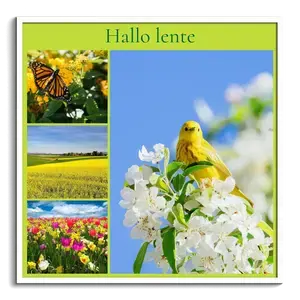 Lente fotocollages voor aan de muur – ontwerp nu jouw bloemen-collage met eigen tekst