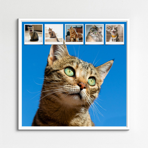 Katzen-Fotocollage jetzt gestalten - z.B. Herz auf 4 Pfoten, mit deinem Text