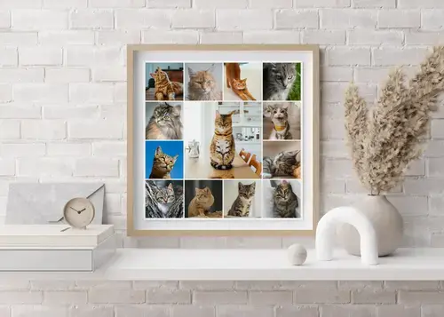 Kattenfoto Collage met Persoonlijke Teksten