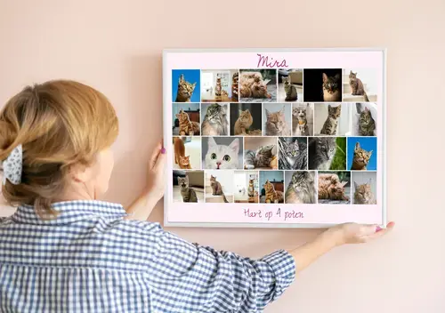 Kattenfoto Collage met Persoonlijke Teksten