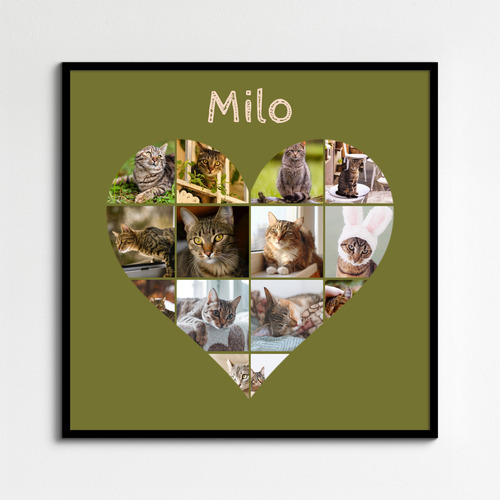 Maak nu je kattenfoto hart-collage - met eigen tekst of naam