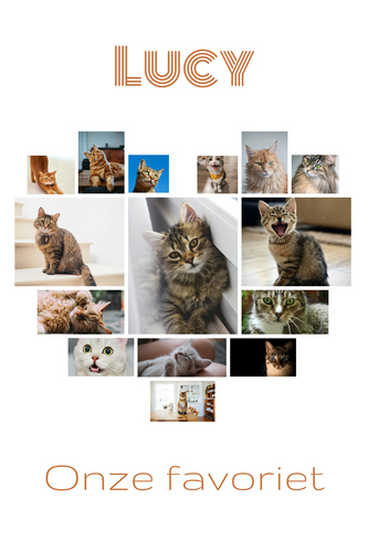 Maak nu je kattenfoto hart-collage - met eigen tekst of naam