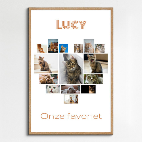Maak nu je kattenfoto hart-collage - met eigen tekst of naam