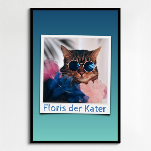 Katzen-Polaroid-Collage erstellen – mit Namen & Text deiner Katze personalisieren