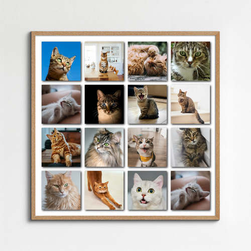 Polaroid collage van je kattenfoto's – maak nu met naam en eigen tekst